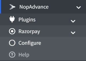 razorpay payment plugin navigation menu